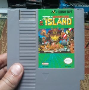 Nintendo Adventure island